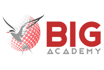 BIG Academy